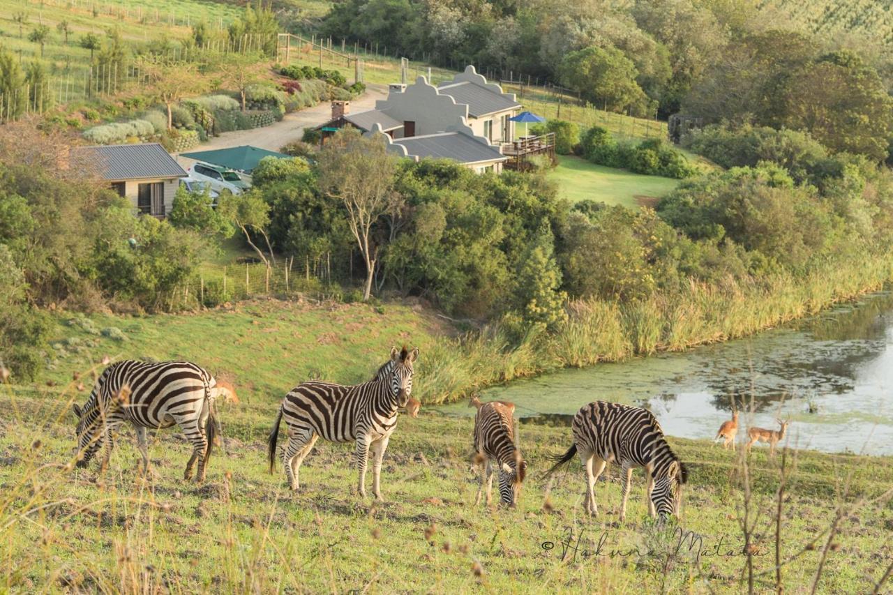 Hakuna Matata Game Farm Great Brak River 外观 照片